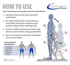 Biodex Sit2Stand